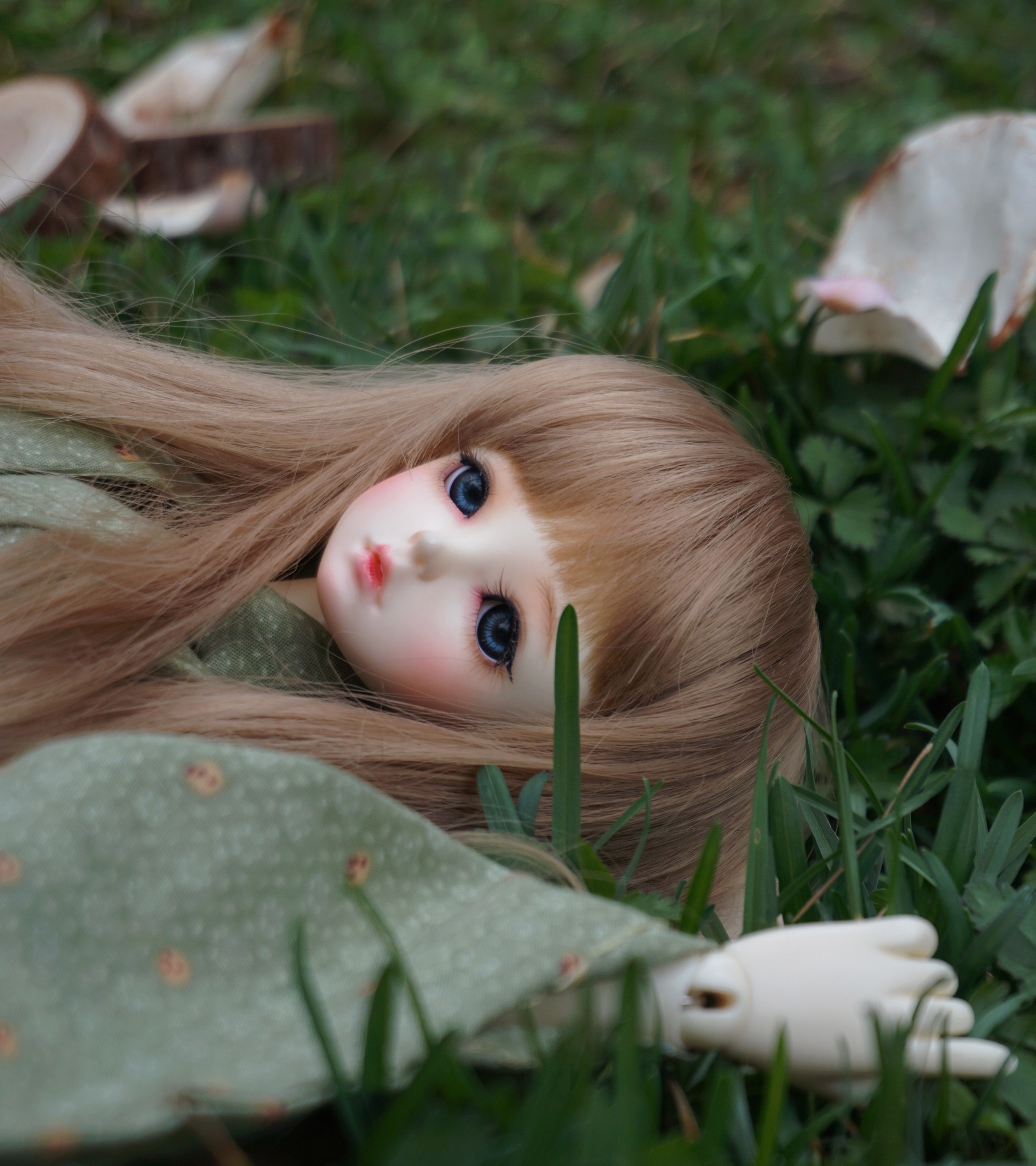 Forgotten